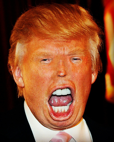 Trump Is Losing Resilient Constructs